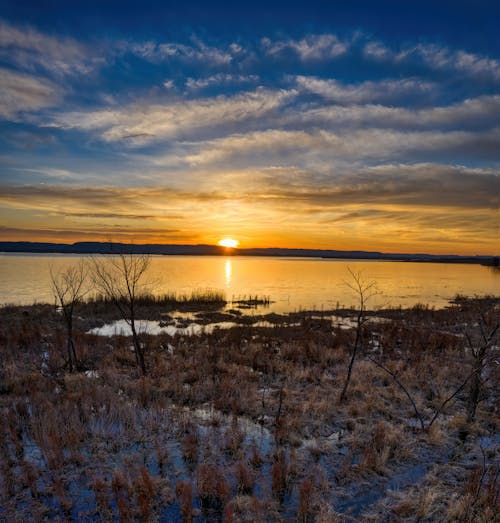 Brown Grass Near a Body of Water at Sunset