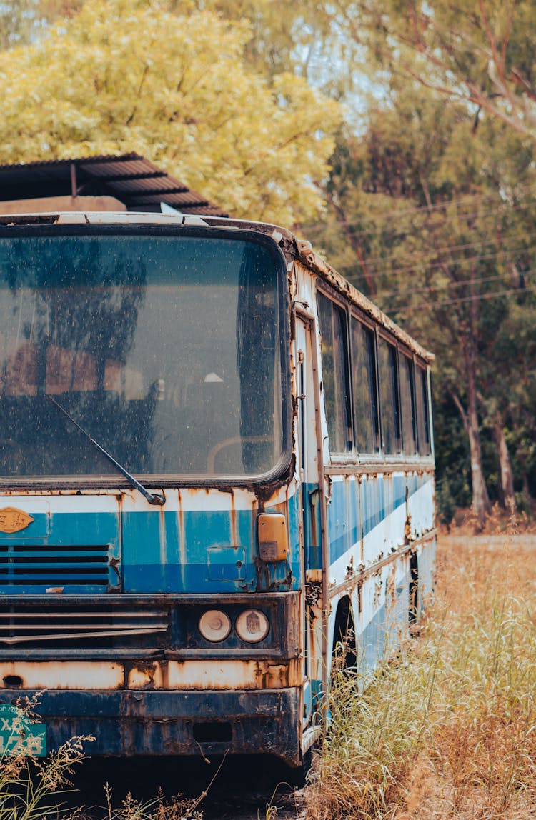 Old Bus Parked On Grass