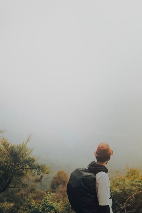 Free A lone backpacker explores a foggy forest landscape, offering a sense of adventure and tranquility. Stock Photo