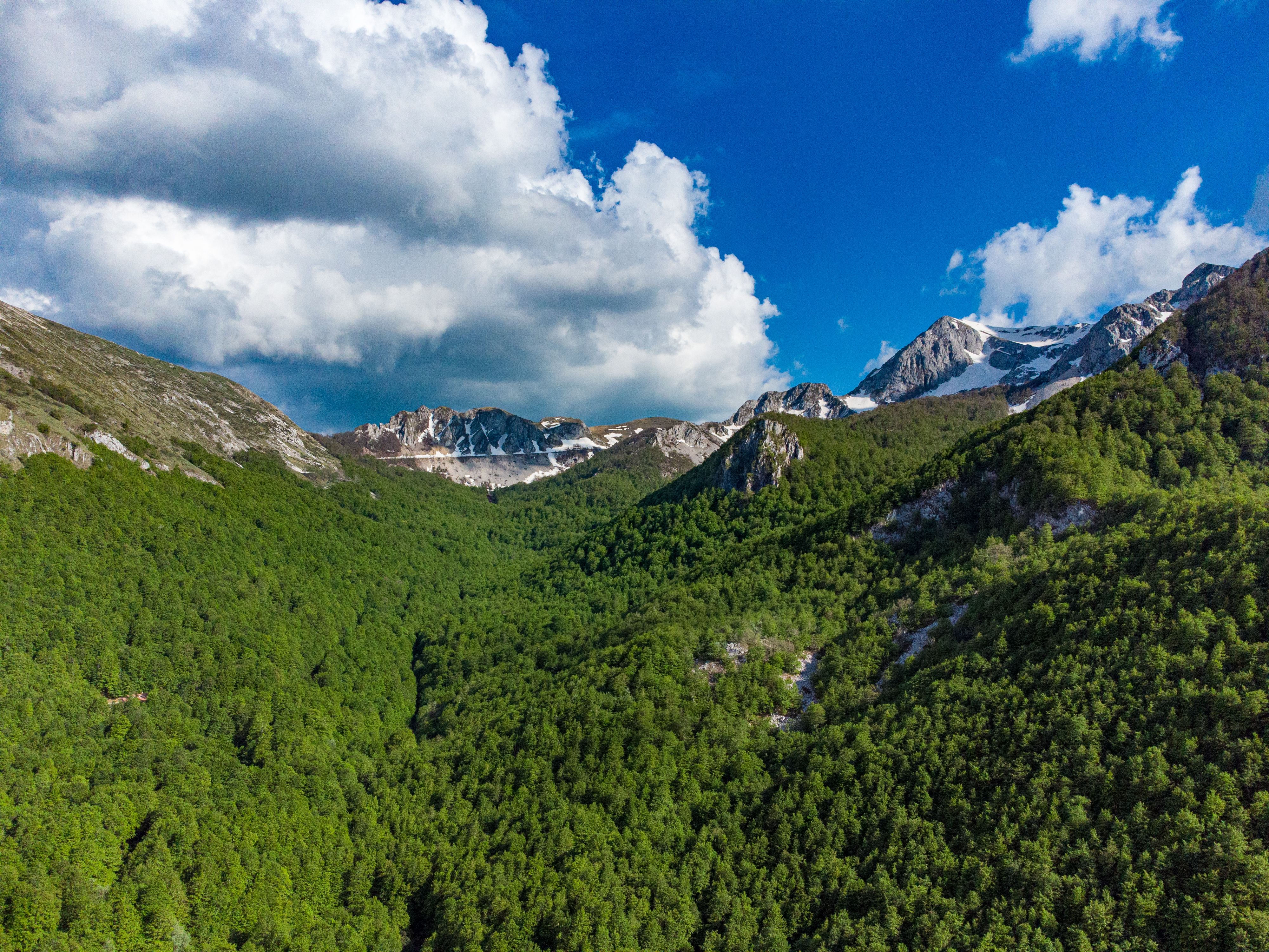 Aerial Photography of Green Mountains under the Cloudy Blue Sky · Free ...