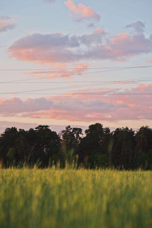 Free Serene image of a lush green field under a colorful sunset sky with scattered clouds. Stock Photo