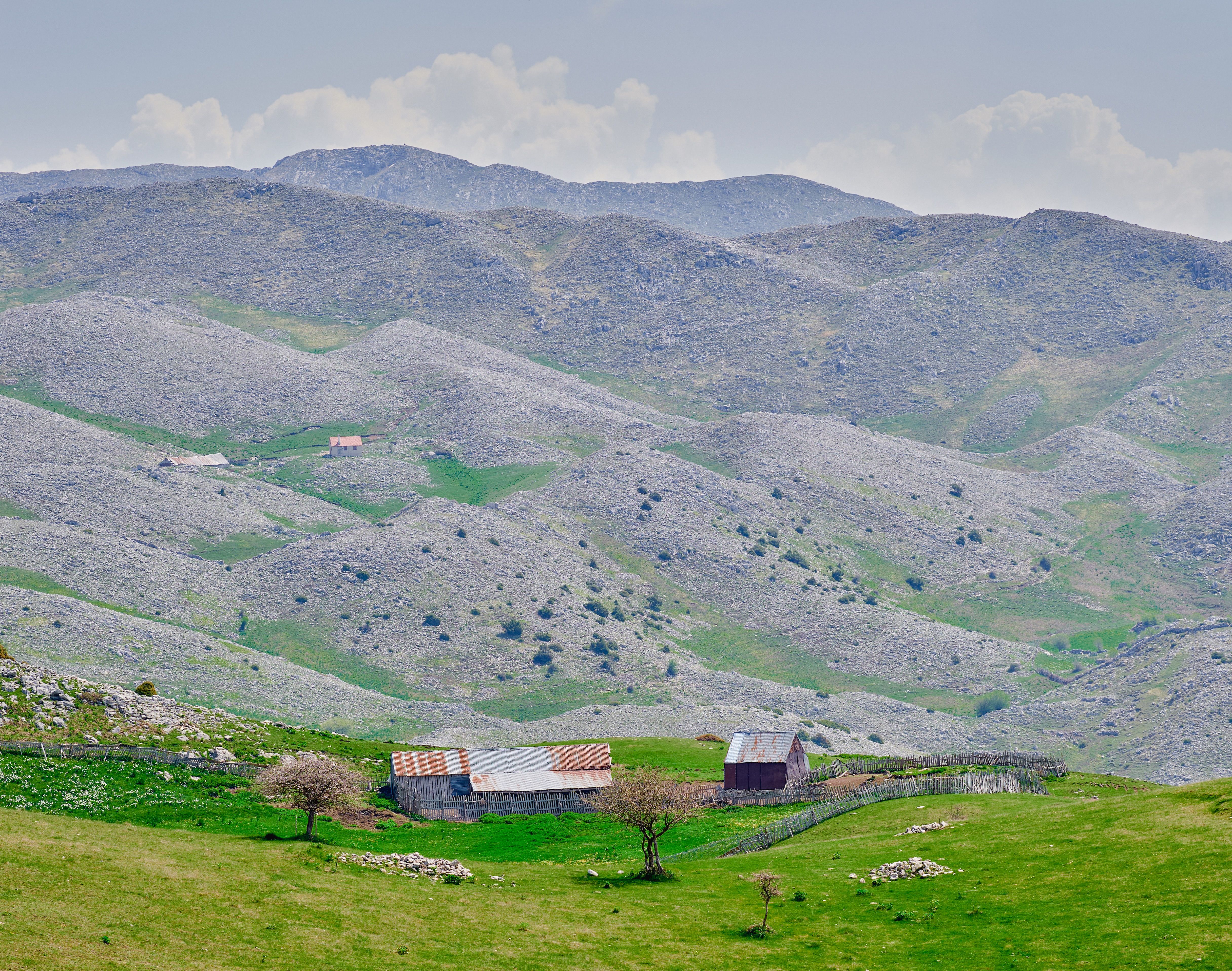 When to Visit: Timing Your Trip for Peak Blooms