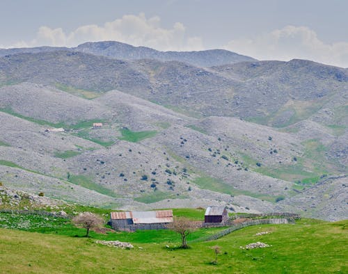 Foto profissional grátis de área, cênico, chácara