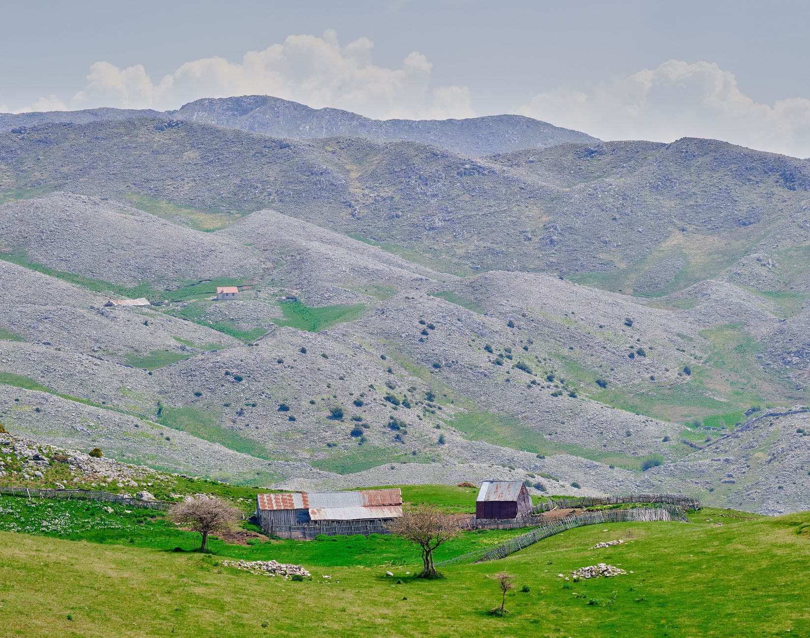 When to Visit: Timing Your Trip for Peak Blooms