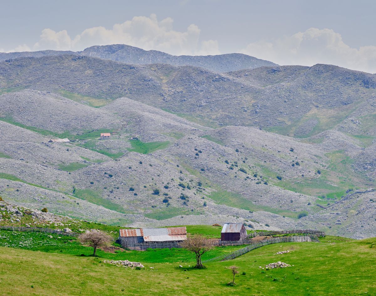 Vedere asupra unor dealuri