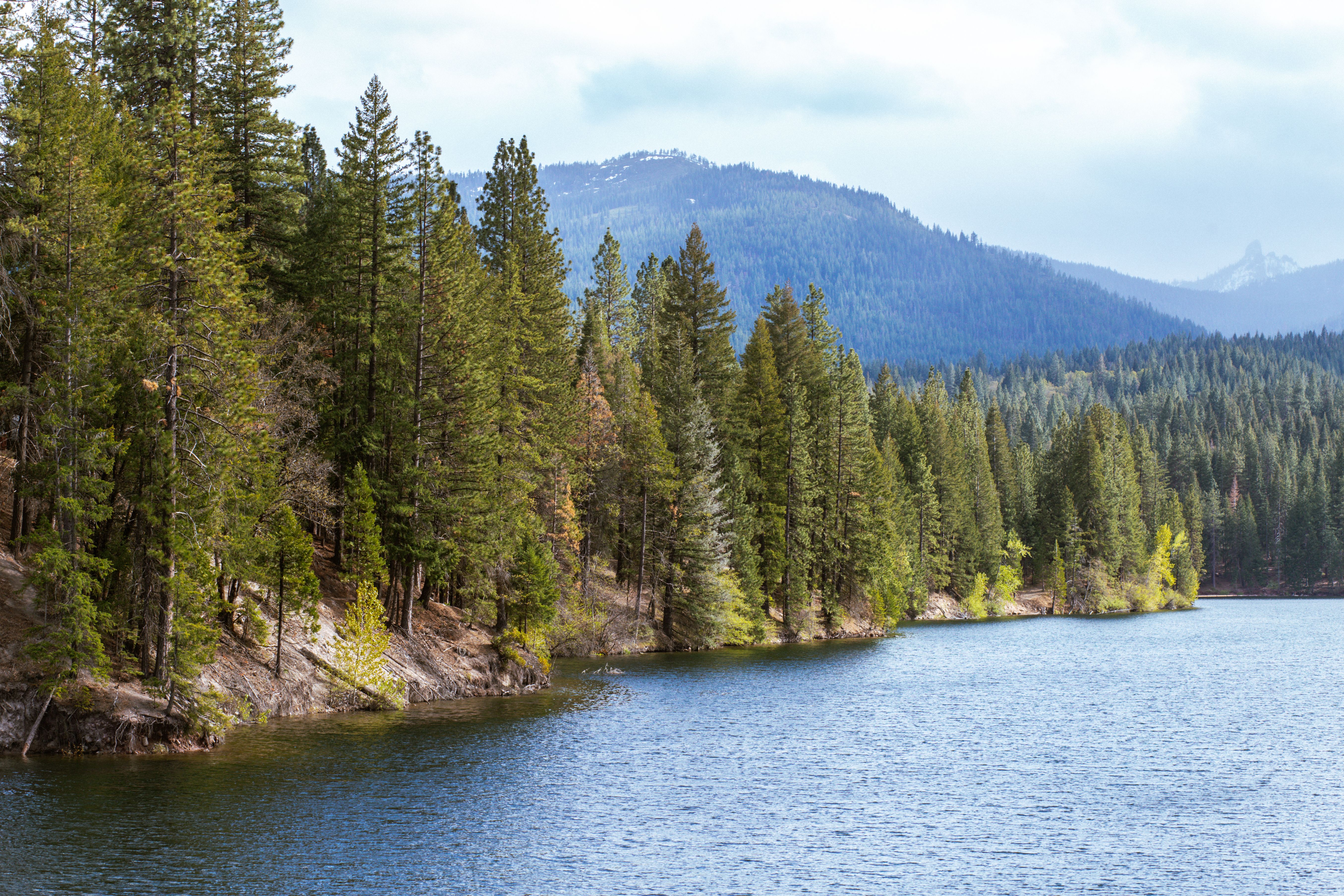 Forest Service employees rescued after 15-hour hostage ordeal in California