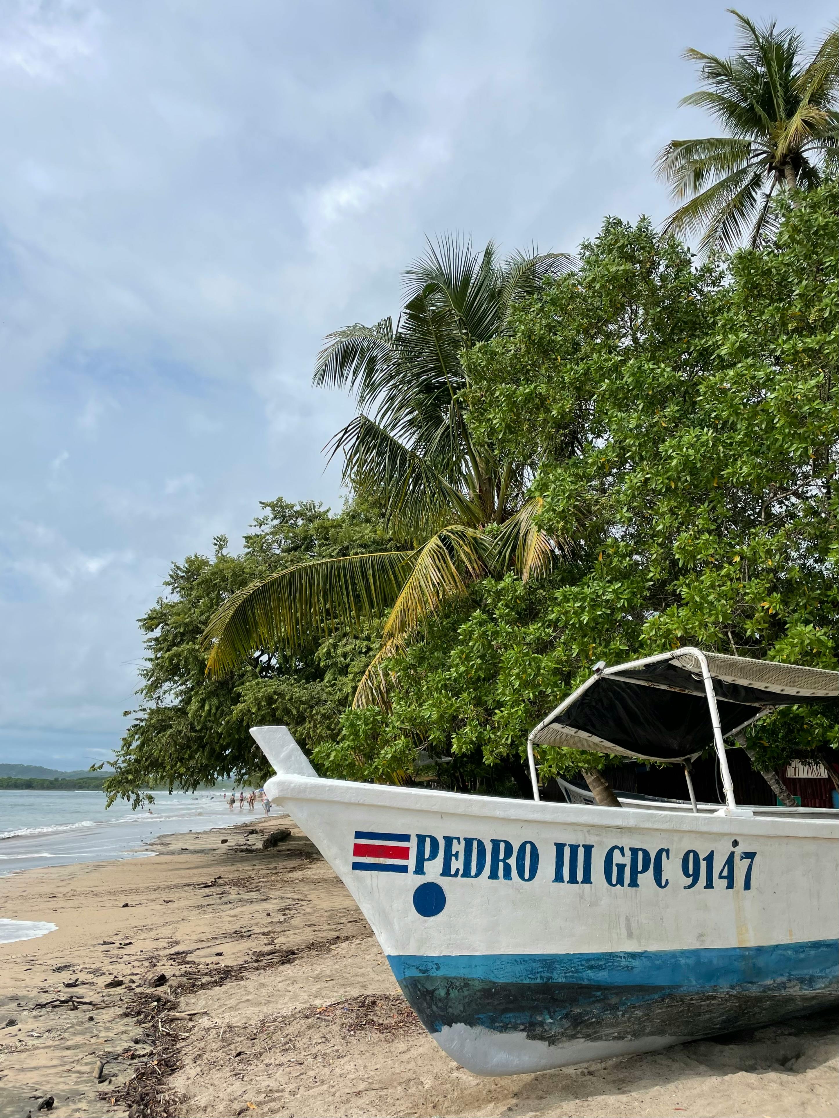 San José, Costa Rica: El Secreto de sus Servicios Exportables Escalables