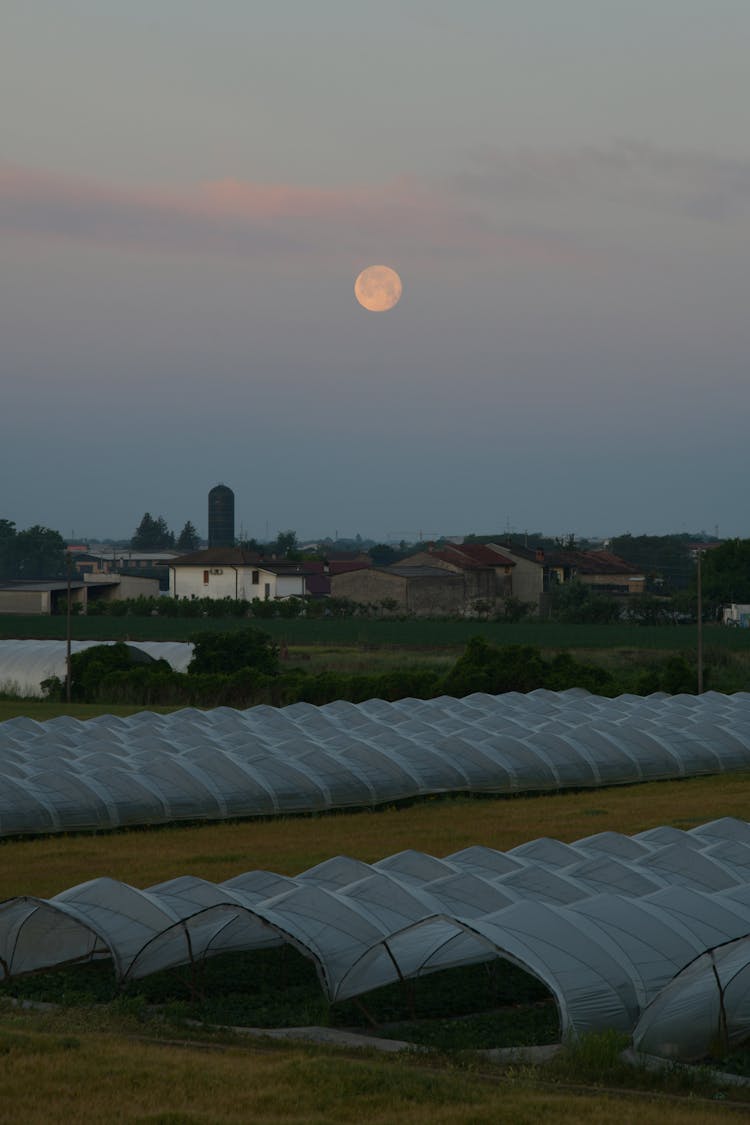 Greenhouses In Field On Sunset