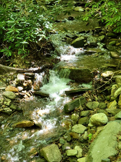 Ilmainen kuvapankkikuva tunnisteilla puro, vesivirta, water_falls