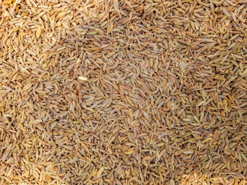 Free stock photo of cumin seeds