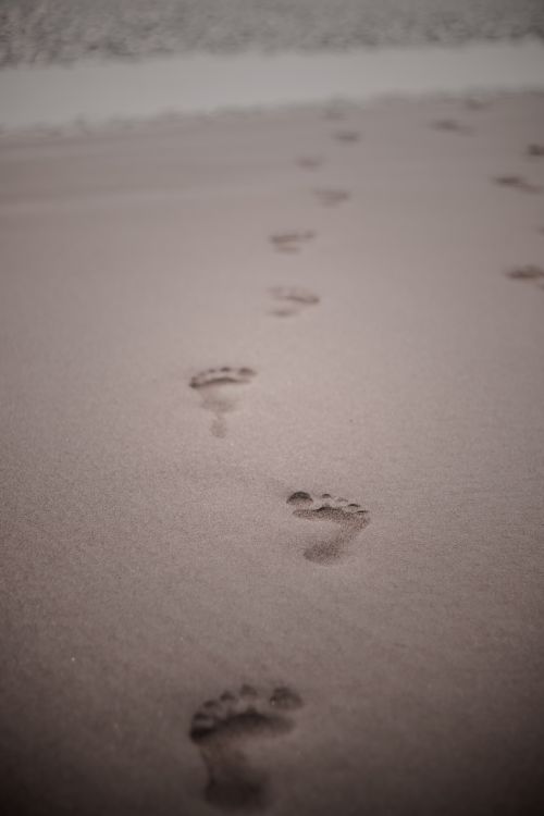 Free A serene view of footprints leading towards the ocean on a sandy beach, evoking a sense of peace and journey. Stock Photo