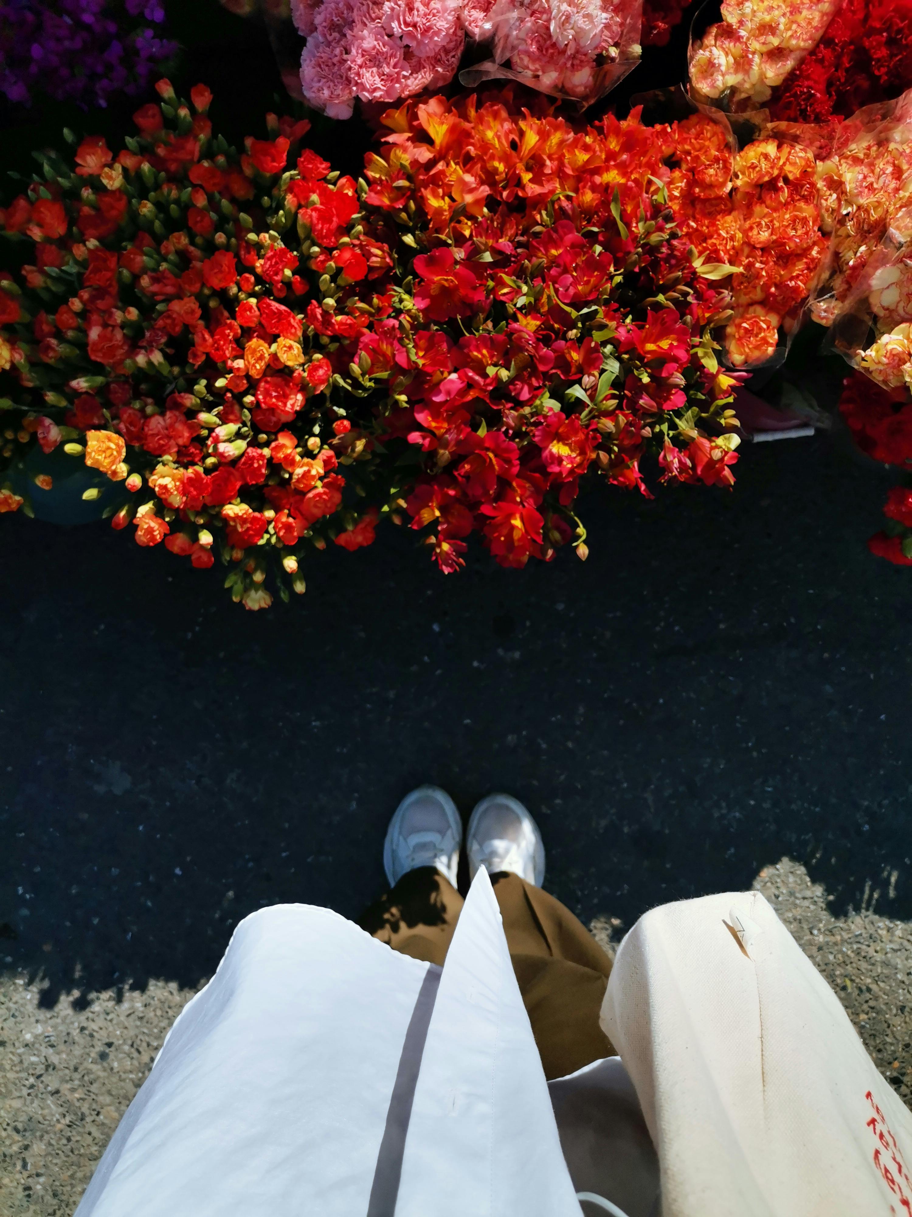 the point of view of a person standing in front of a flower stand