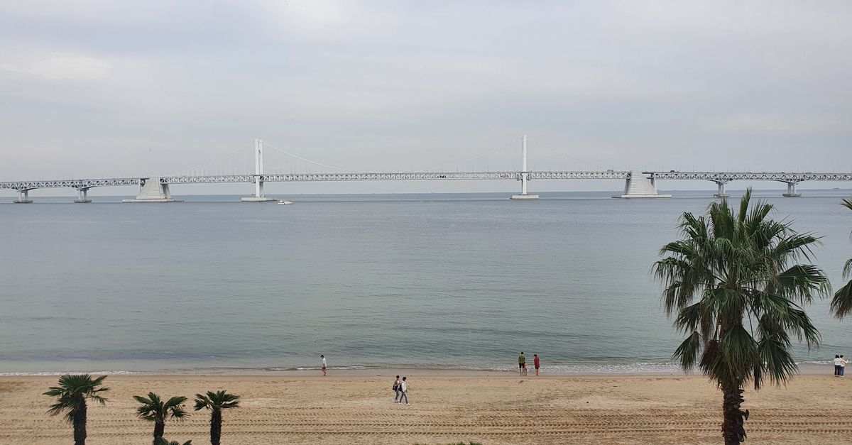 Scenic view of Gwangalli Beach and Gwangandaegyo Bridge in Busan, South Korea. visual (Photo: Dennis Park / Pexels)