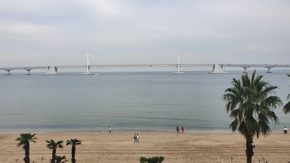 광안리 해수욕장 광안대교 야경 여름