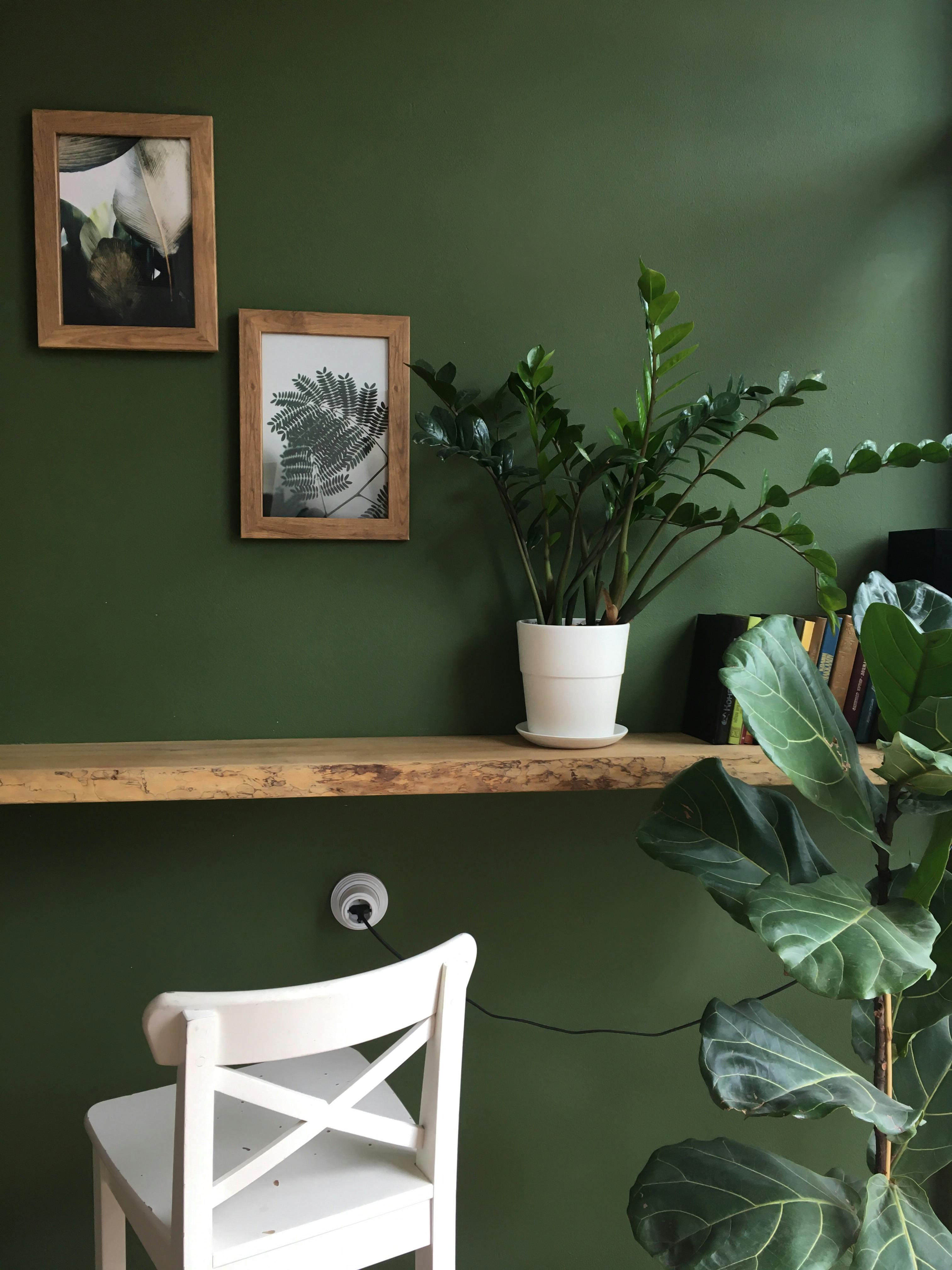 home interior design with green