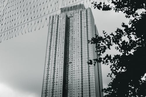 무료 건축, 고층, 그레이스케일의 무료 스톡 사진