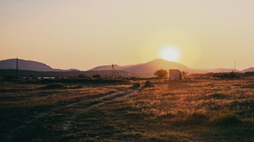 Brown Grass Field during Sunset