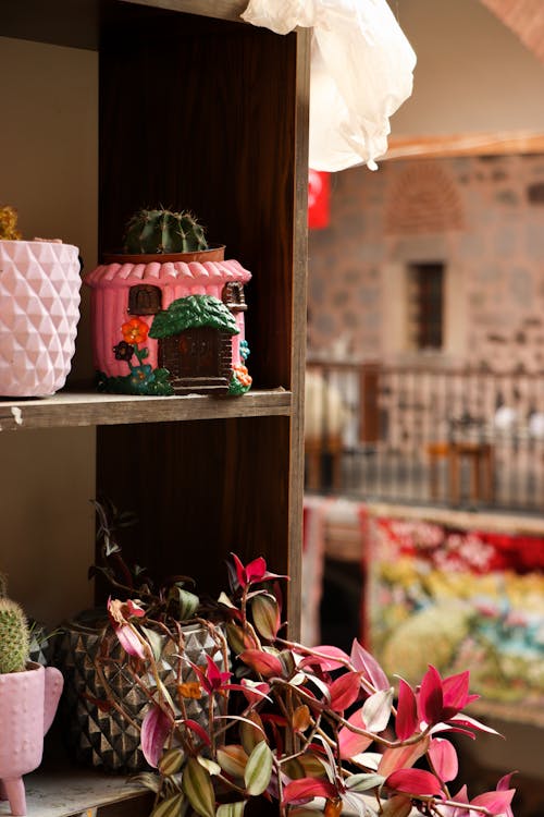 Decorated Flowerpots on Shelf