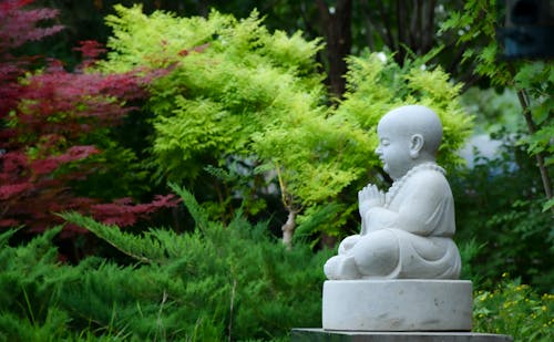 Free Stone Statue of Buddha in a Garden Stock Photo