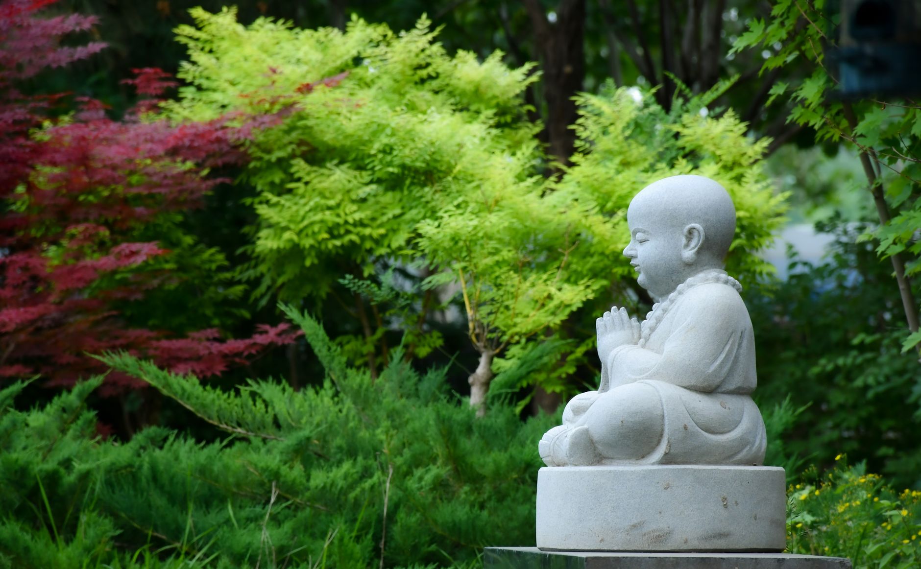 Serene Buddha statue in a lush garden, symbolizing peace and spirituality.