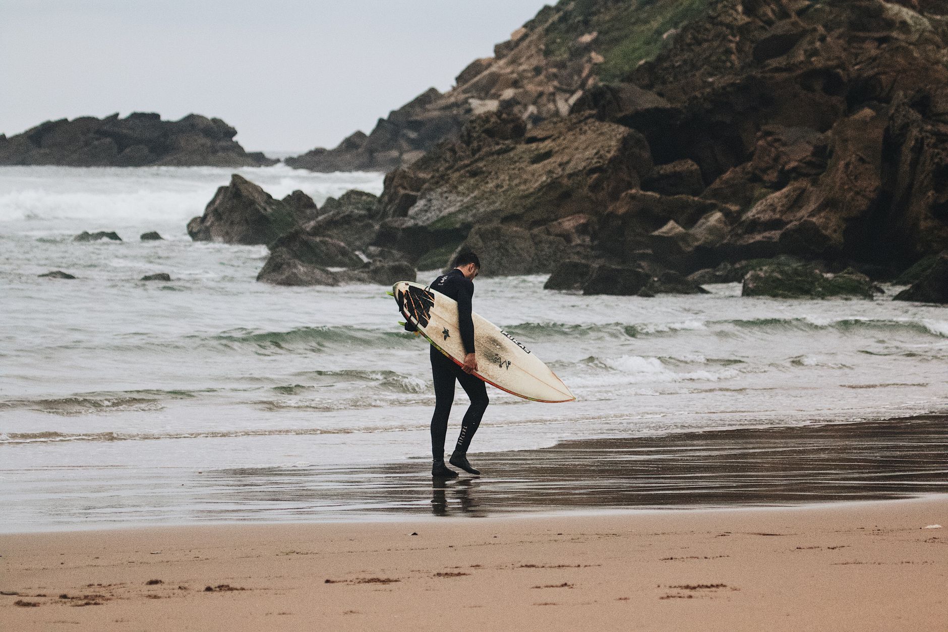 surfer seo