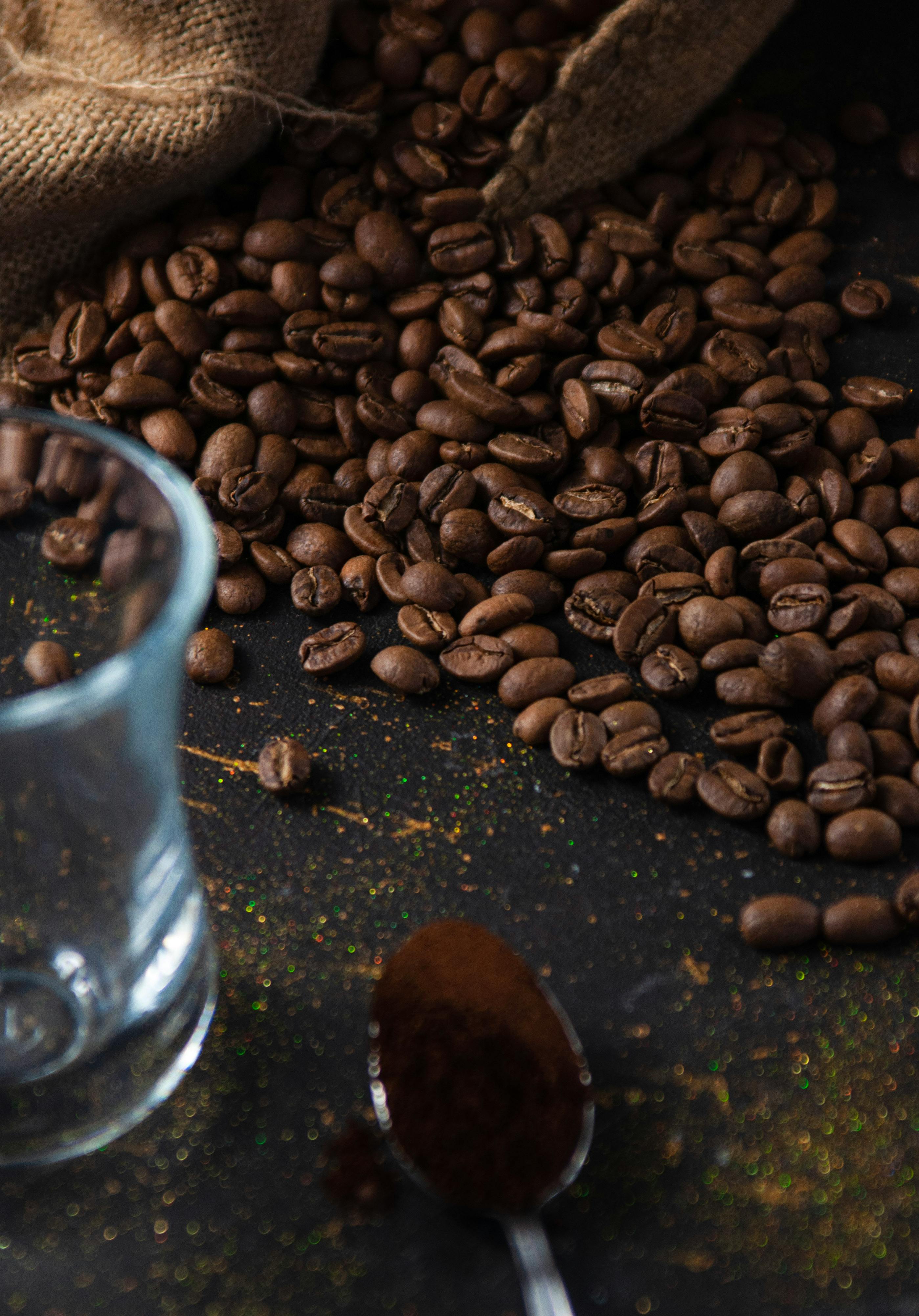 Roasted and Green Coffee Beans · Free Stock Photo