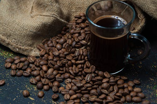 Free Coffee Beans on Brown Textile Stock Photo