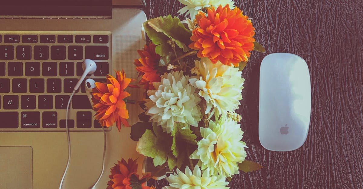 Free stock photo of apple, apple mouse, artificial flowers