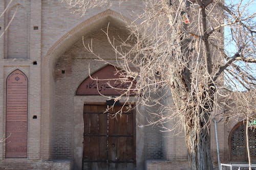 Photos gratuites de doğa, iran