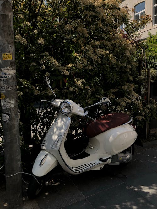 White Motor Scooter Parked Near Green Trees