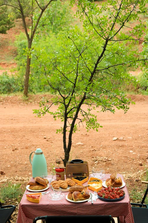 Breads on the Table Beside Green Tree