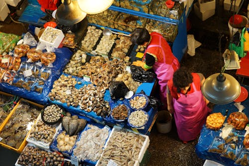 Darmowe zdjęcie z galerii z korea, owoce morza, rynek owoców morza