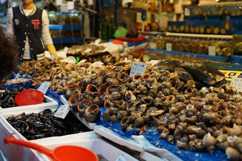 Darmowe zdjęcie z galerii z jedzenie, korea, mokry rynek