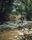river video
