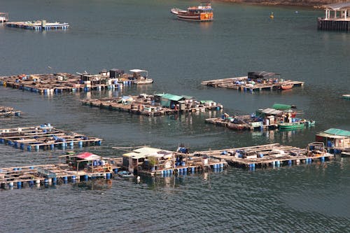 High Angle Shot of a Fish Farm on Body of Water