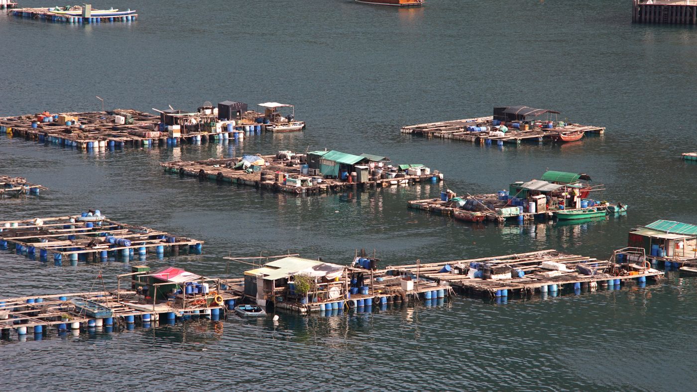Fishing in Hong Kong: Saltwater Spots and Easy Access