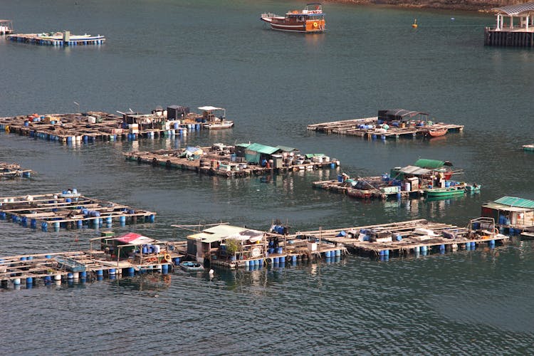 High Angle Shot Of A Fish Farm On Body Of Water