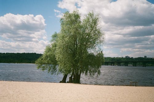 Darmowe zdjęcie z galerii z na dworze, natura, rzeka