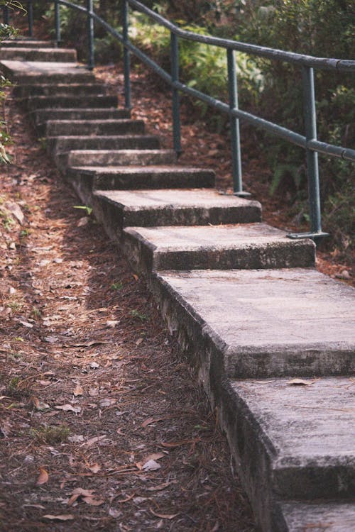 Staircase in a Park