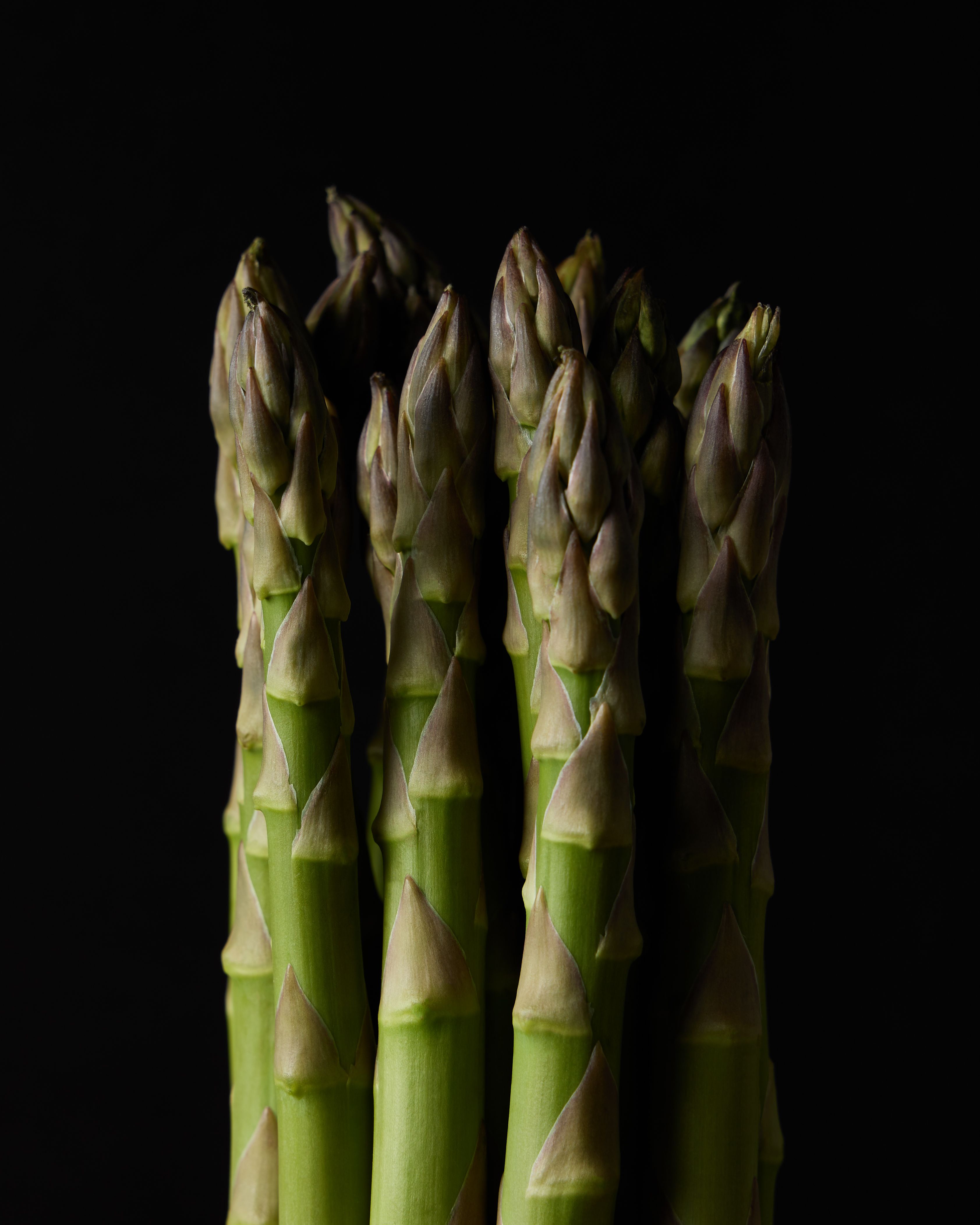 Close-up of green asparagus spears isolated on a black background.