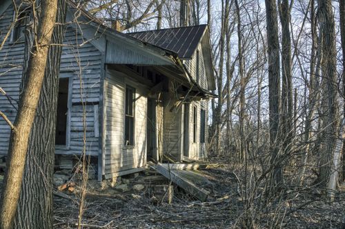 Free Discover a decaying wooden house surrounded by leafless trees in a remote forest. Stock Photo