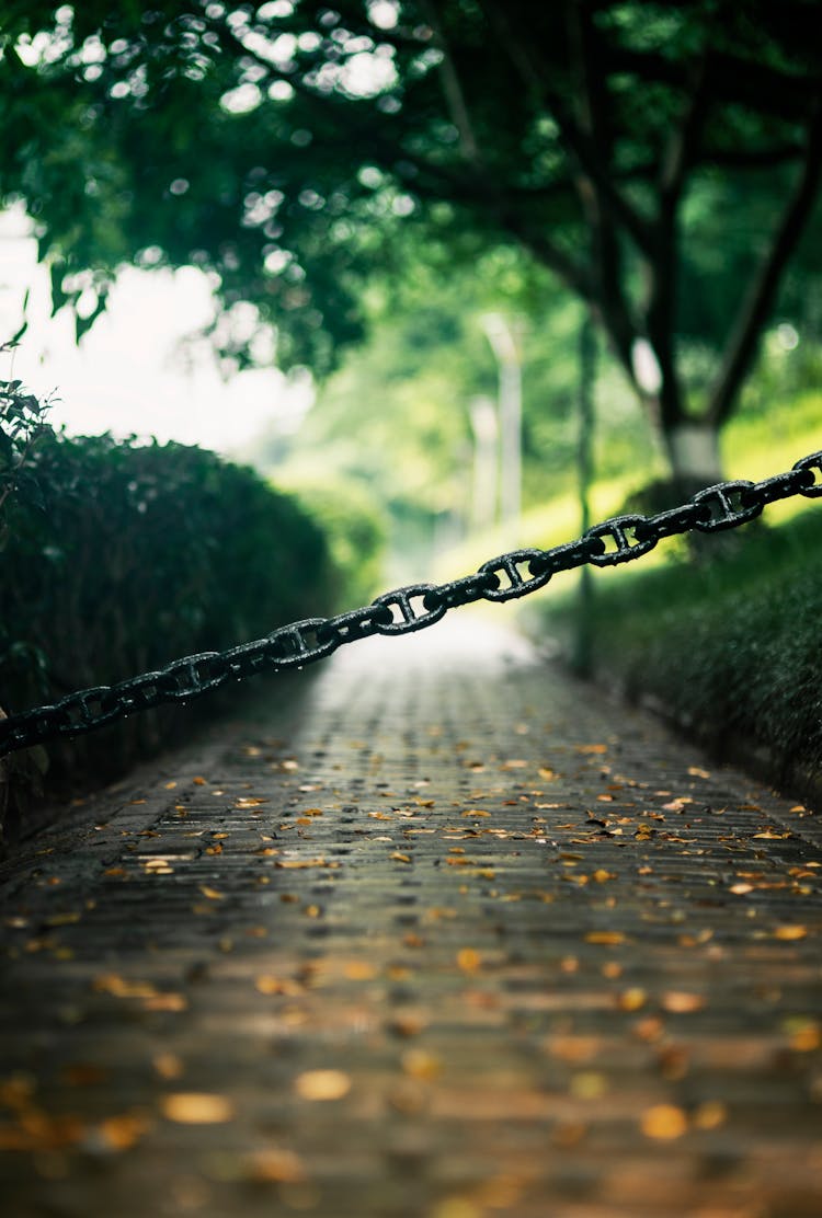 Chain Fence In Park