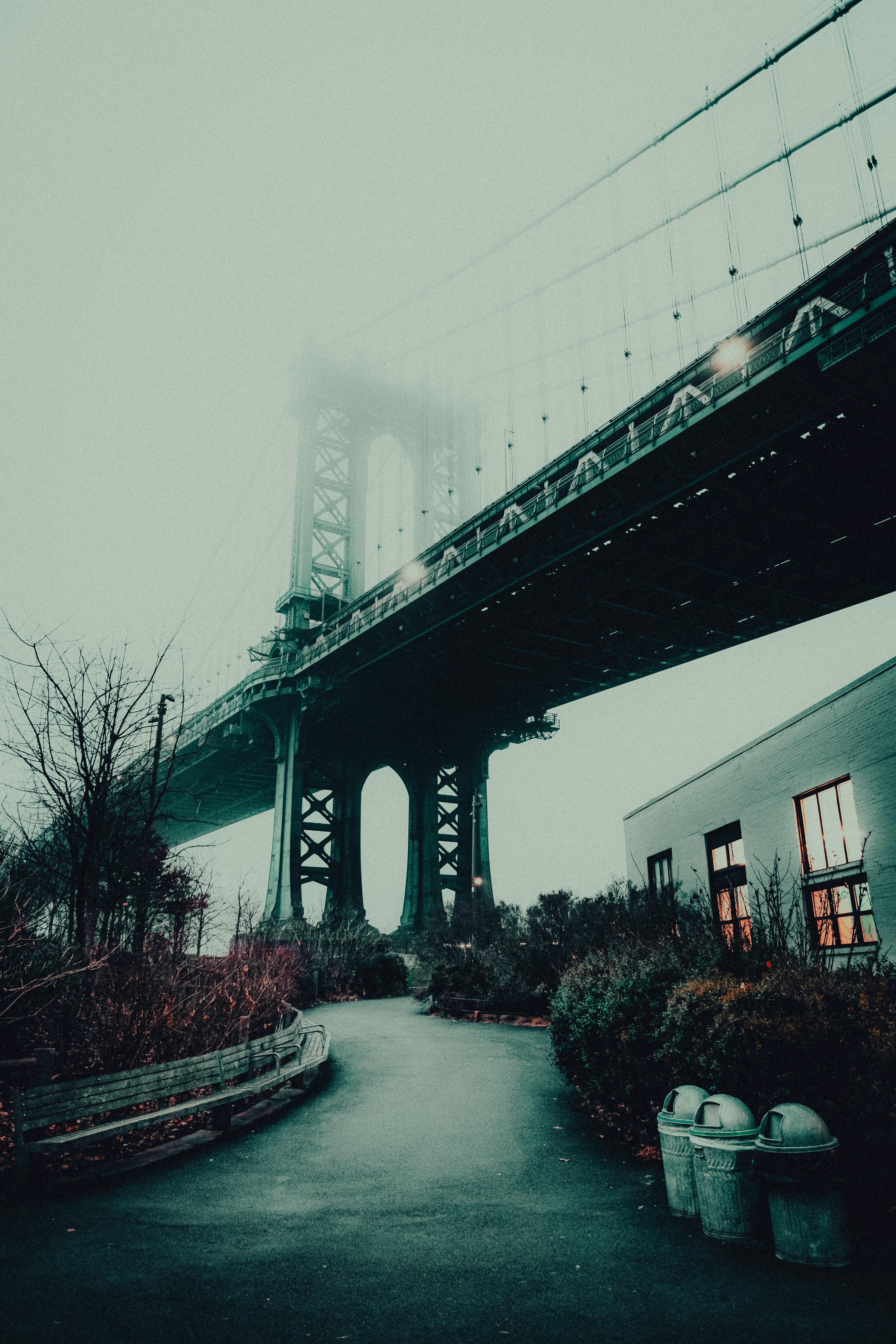 bridge in new york city