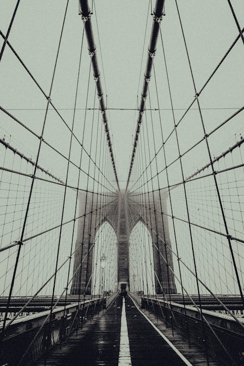 つり橋, ニューヨーク, ブルックリンの無料の写真素材