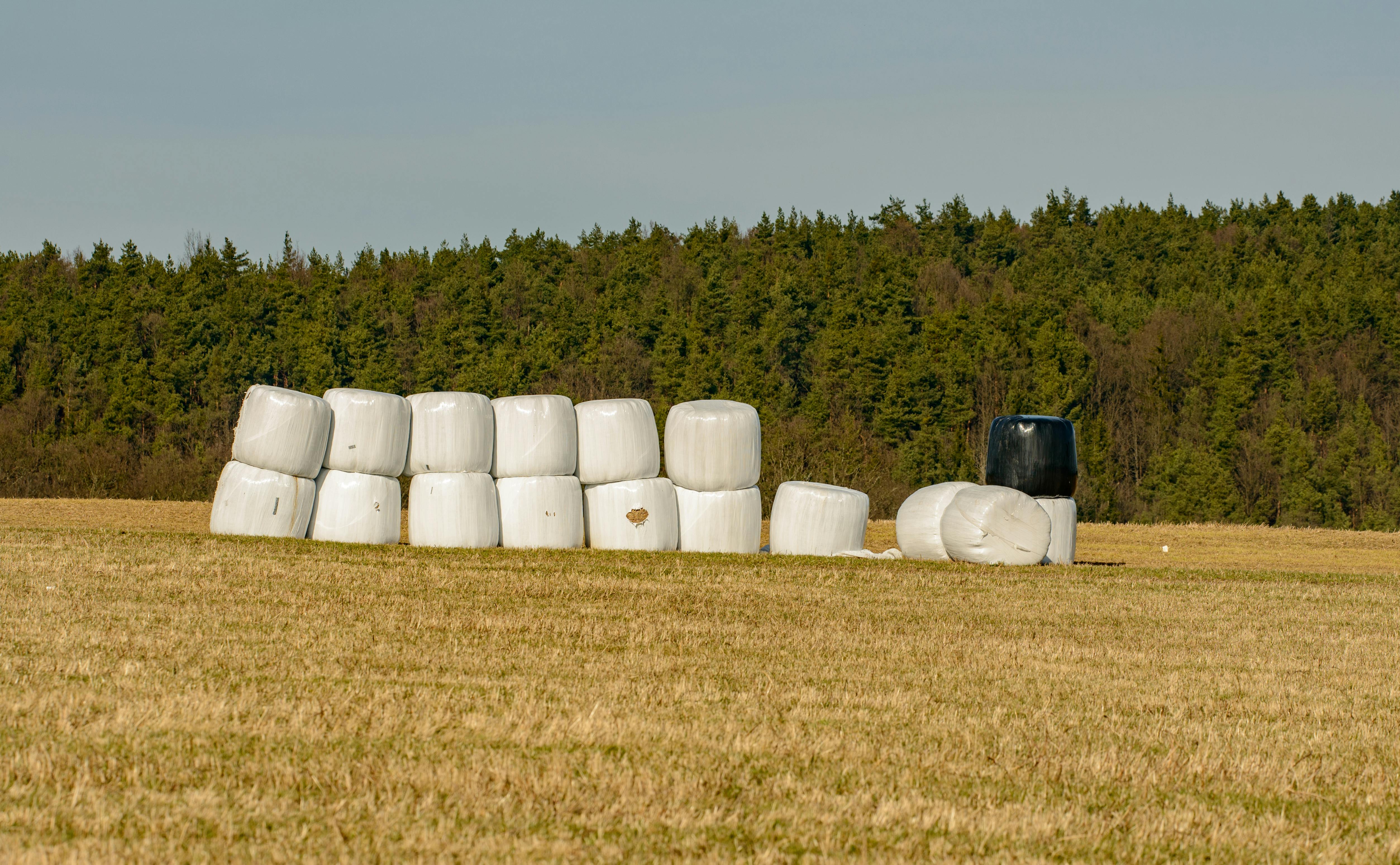 white plastic barrels on green grass field
