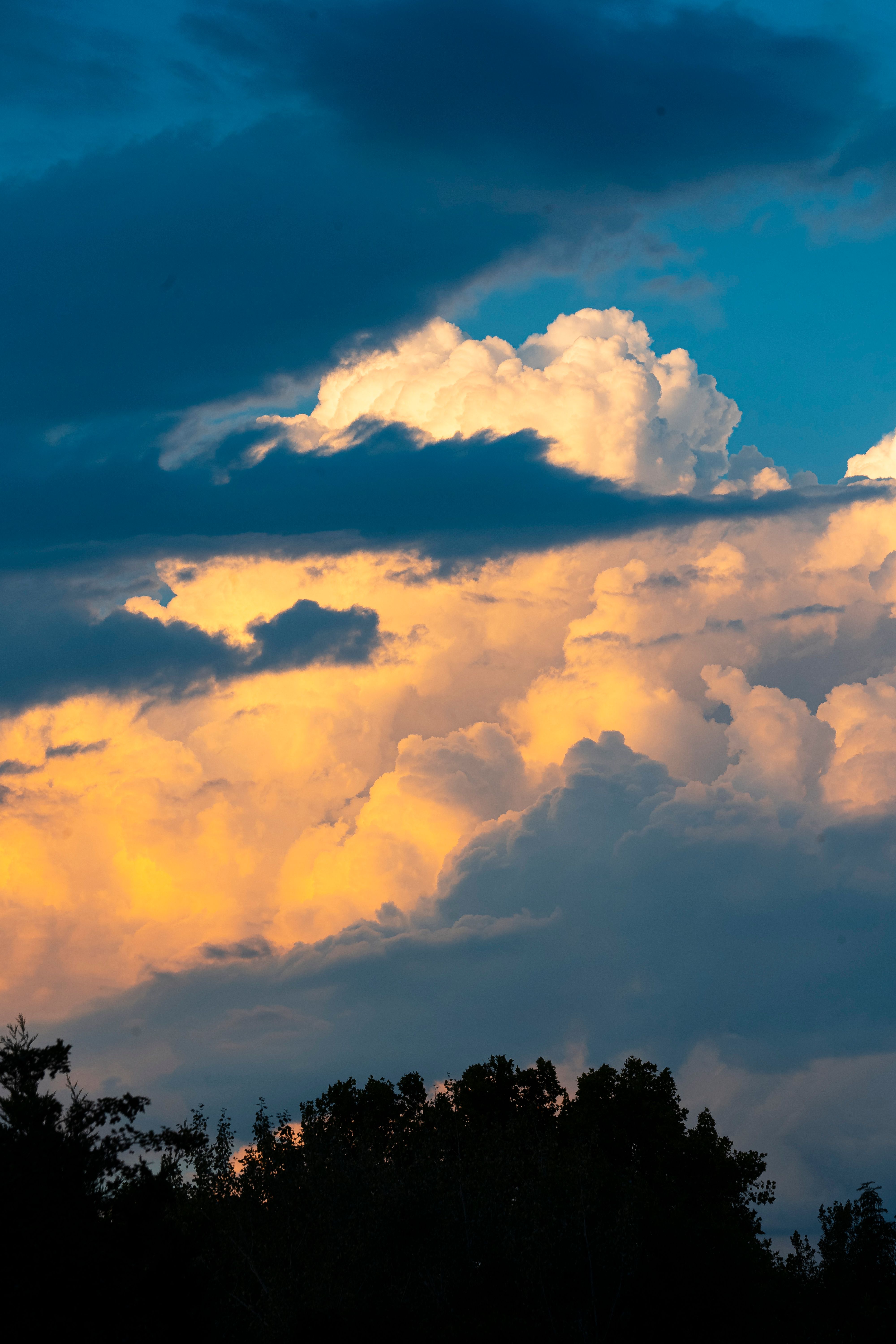 Green Trees Under White Clouds and Blue Sky · Free Stock Photo