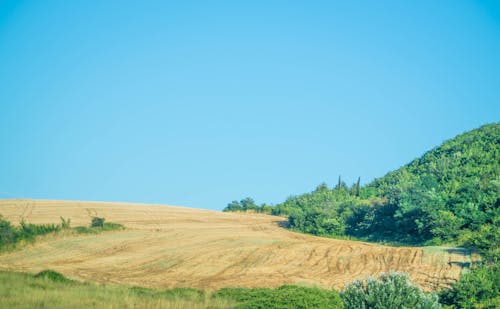 Free stock photo of sky