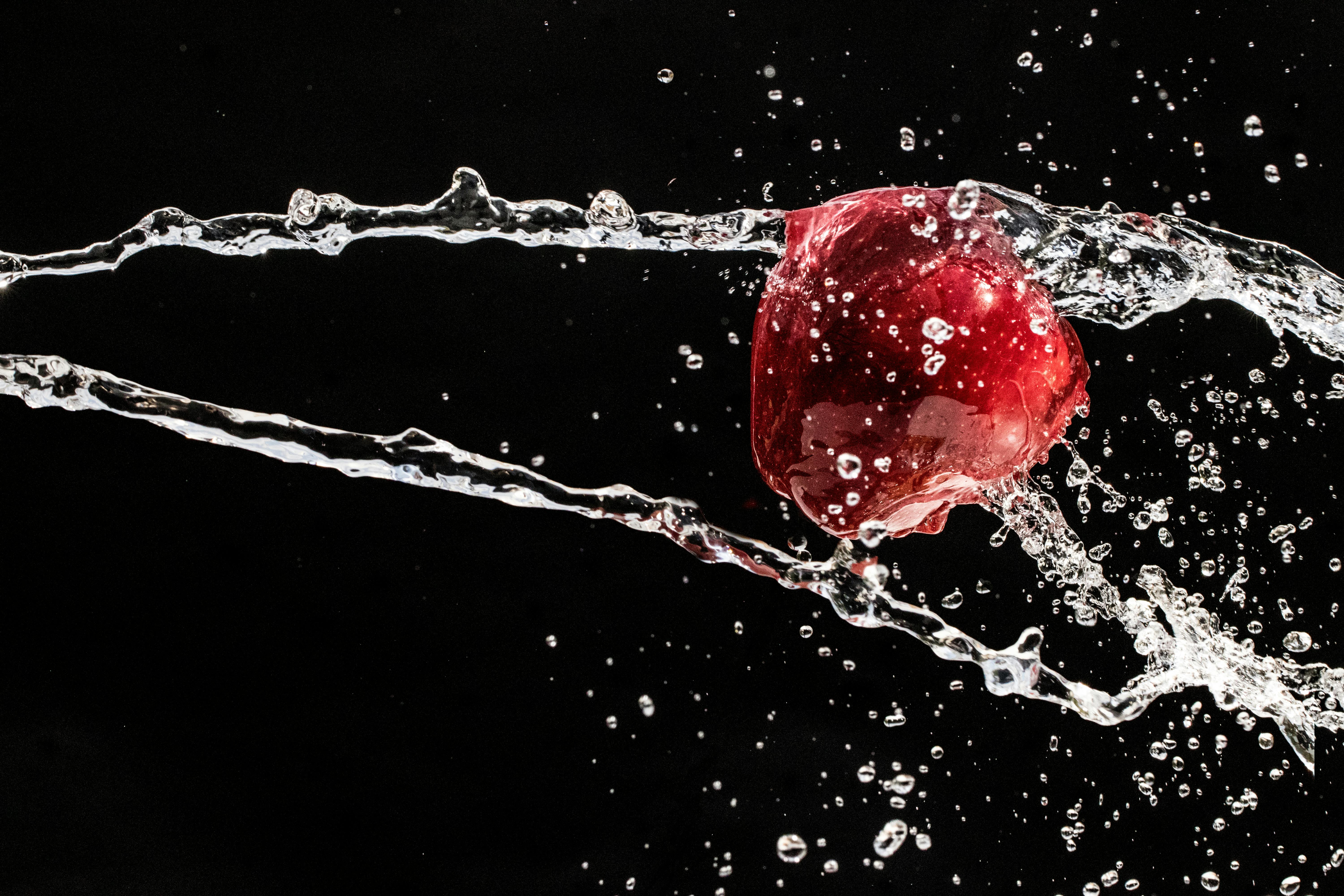 Apple Music and TikTok roll out music discovery experience — Photo by Luis Arriaga on Pexels