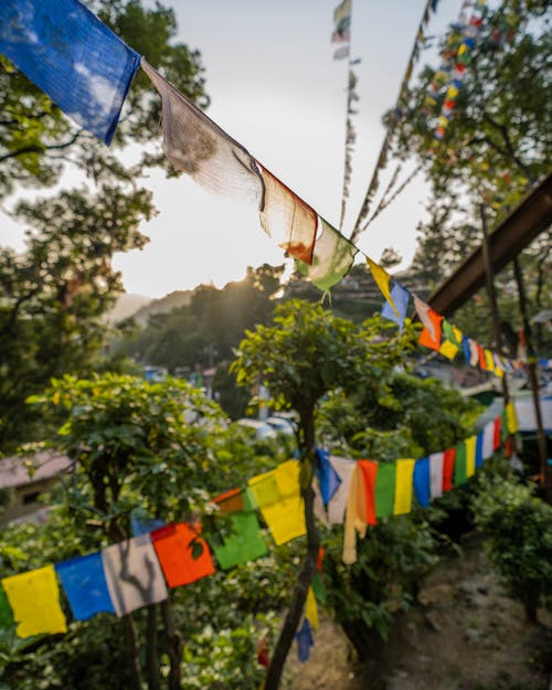 Základová fotografie zdarma na téma nepál