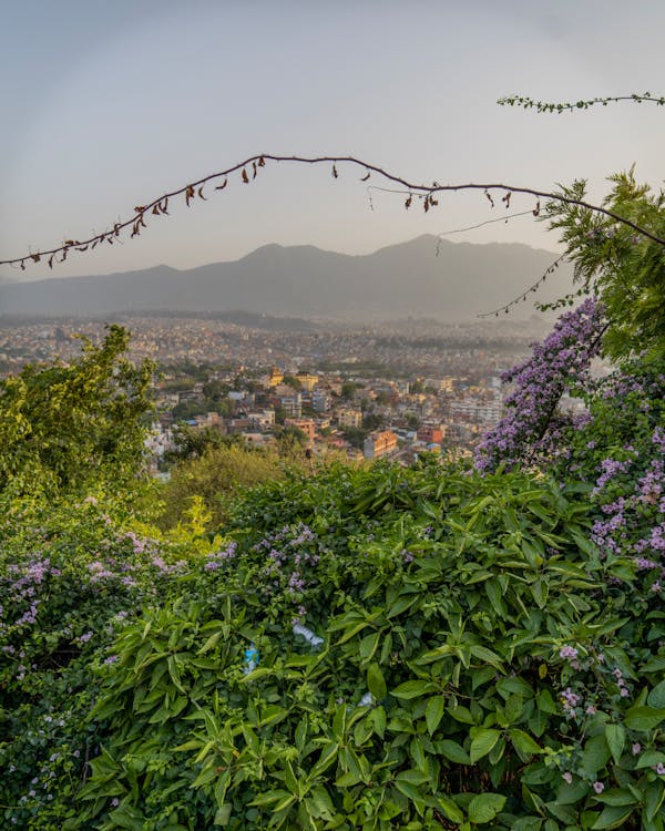 View of the City from a Valley